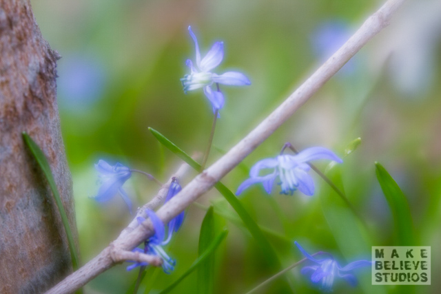 Lensbaby Velvet56-test -Stockholm_2015_1